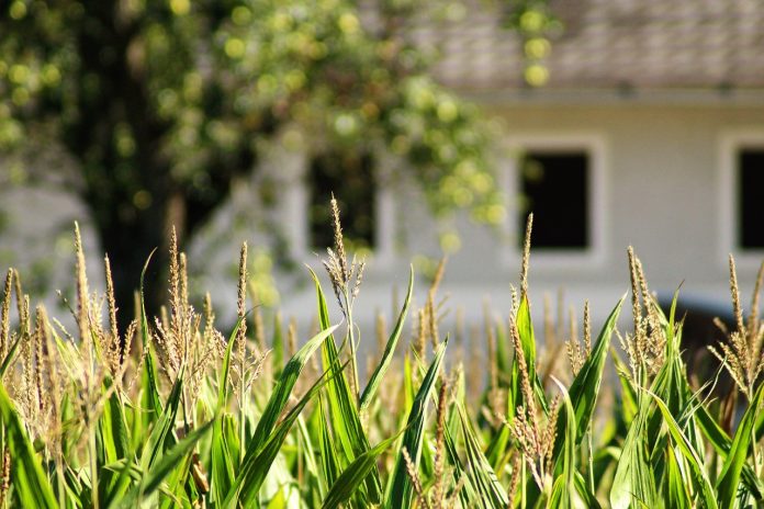 farmhouse-2750918_1280