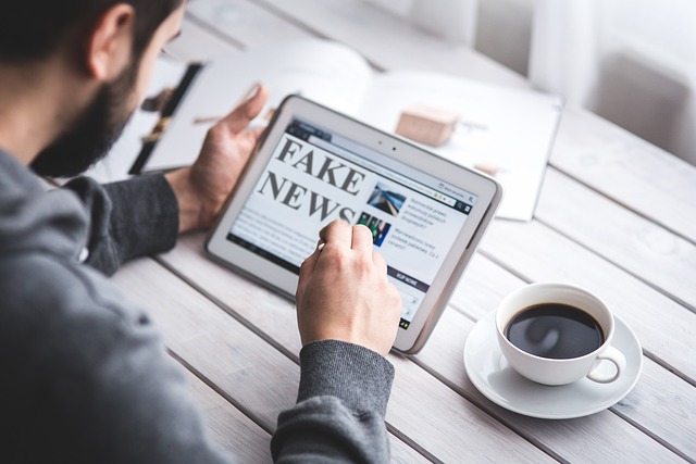 fake-news-4881486_640