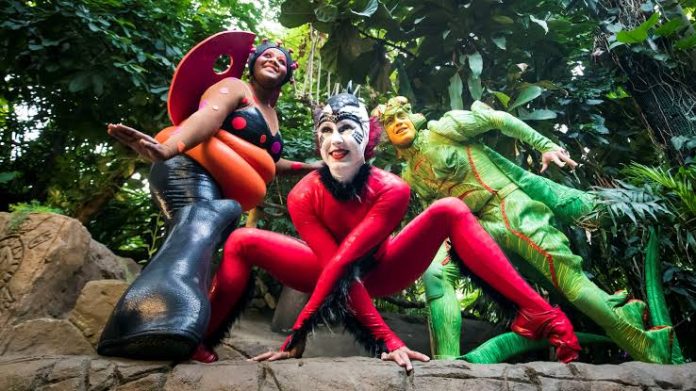 cirquedusoleil