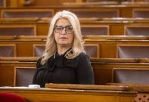 Hallerné Nagy Anikó: olyan ország építése a célunk, ahol senkit nem ér hátrány azért, mert fogyatékossággal él
